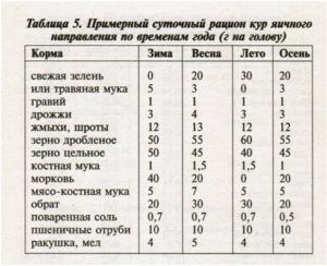 Содержание кур зимой на балконе