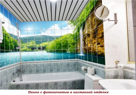 Выбираем плитку для ванной комнаты и туалета: советы и рекомендации Выбираем плитку для ванной комнаты и туалета: советы и рекомендации