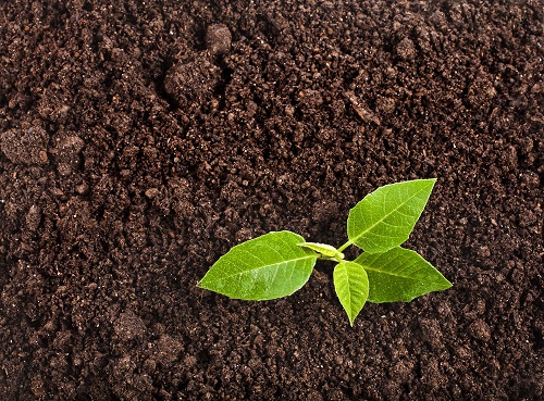 Достоинства заказного растительного грунта и как он влияет на количество урожая