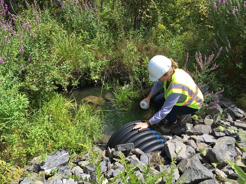 Виды инженерно-экологических изысканий: последовательность и проведение Виды инженерно-экологических изысканий: последовательность и проведение