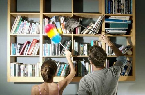 Особенности чистки квартиры от пыли и пправила проведения уборки Особенности чистки квартиры от пыли и пправила проведения уборки