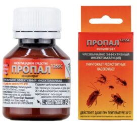 Как избавиться от тараканов в квартире &ndash; Лучшие средства!